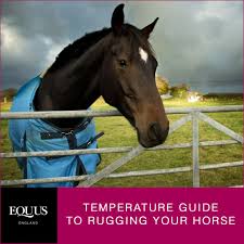 Temperature Guide To Rugging A Horse Equus