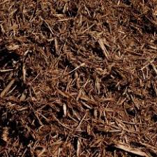 Our plants are well branched to ensure beauty and success. Chocolate Mulch Yano S Nursery