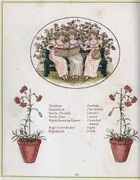 Check spelling or type a new query. Language Of Flowers Language Of Flowers Illustration Flowers