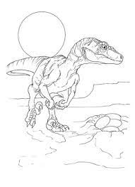 Push pack to pdf button and download pdf coloring book for free. Velociraptor Coloring Page