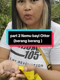 Aya Bell (@diarymisteriayaaaa)