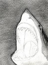 How To Draw A Shark Head Step By Step Drawing Guide By Finalprodigy Dragoart Com Shark Drawing Great White Shark Drawing Shark Art