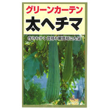 ヒョウタン・ヘチマ(果菜類種)のおすすめ通販 | ホームセンター コメリドットコム