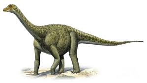 Art Illustration Dinosaurs Titanosaurus Titanic Reptile Is A Dubious Genus Of Sauropo Animais Pre Historicos Maior Dinossauro Ilustracao De Dinossauro