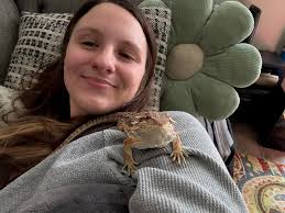Hello folks! Since we're heading into brumation season, let's chat. I have  a 7 month old and she's not currently exhibiting any signs, which I heard  younger beardies shouldn't, so that's a