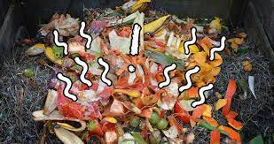 Maybe you would like to learn more about one of these? Does Compost Smell The Truth About Smelly Compost Help Me Compost