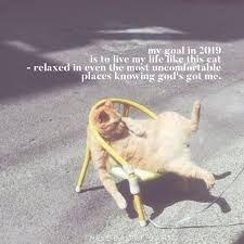 My Goal For This Year Is Pretty Simplistic Keepitreal 2019 2019goals Thebeautybarn Quote Funnyquote Knowing God Strong Faith Funny Quotes