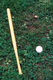 Backyard sports backyard baseball baseball field dimensions wiffle ball the sandlot sign. Wiffle Ball Wikipedia