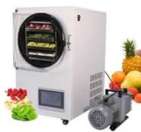 Industrial Vacuum Food Fruit Liofilizador Freeze Drying Machine