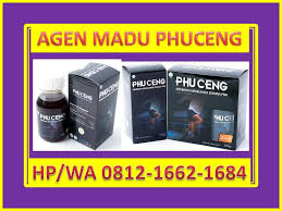 Pin Di Cara Mengobati Lemah Syahwat Tanpa Obat Hp Wa 0812 1662 1684