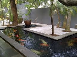 Maybe you would like to learn more about one of these? Tree Fish Farm Paga De Verdad How To Start High Yield Palm Oil Plantation In Nigeria Tree Fish Farm Claims You Can Redeem All The Money You Collect Within The
