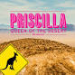 Priscilla Queen of the Desert - the Musical - Carnegie Theatre & Arts Centre, Finkle St Event Image