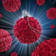 Quitting smoking lowers the risk for 12 types of cancer: We Re Making Real Progress Against Cancer But You May Not Know It If You Re Poor Vox