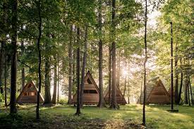 Forest Hut Rental For An Eco Friendly Holiday On The Savinja River Near Velenje Slovenia Forest House Forest Camp Forest Resort
