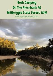 Murrumbidgee Valley Regional Park Willbriggie State Forest State Forest New South Wales Australia Travel