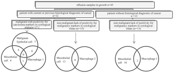 The main difference between mesothelium and endothelium is that, in adults, mesothelium occurs in all serous membranes of the body such as pericardium, . A Panel Of Markers For Identification Of Malignant And Non Malignant Cells In Culture From Effusions