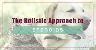 Steroids A Holistic Approach Boulder Holistic Vet