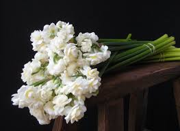 Pin On Wedding Flowers