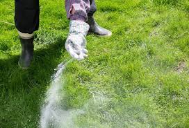 For more information about green thumb and local franchises call 0800 0111222 or visit greenthumb.co.uk. The Average Cost Of Lawn Treatment