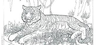 Google Image Result For Http Universulprieteniei Org Wp Content Uploads 2018 12 Color Sheets Of A Animal Coloring Pages Mandala Coloring Pages Coloring Pages