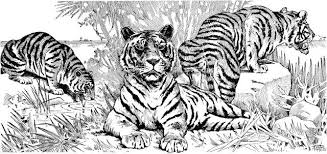 By best coloring pagesaugust 1st 2013. Pin On Printable Coloring Pages