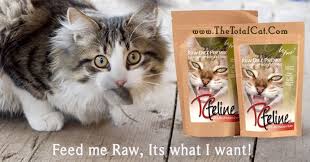 Health Benefits To A Raw Cat Food Diet Bladder Infections Lower Urinary Disorder Urinary Raw Cat Food Diet Irritable Bowel Disease Raw Cat Food Recipes
