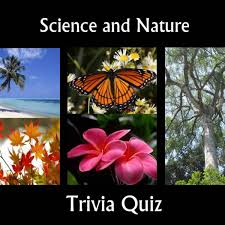 Challenge them to a trivia party! Science And Nature Trivia Quiz Hubpages