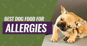 Best Hypoallergenic Dog Food Guide Top 5 Reviews