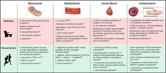 Sedentary Behavior Exercise And Cardiovascular Health Circulation Research