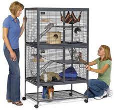 8 diy hamster cages you can build today; Best Chinchilla Cage For Your New Pet Exotic Animal Supplies