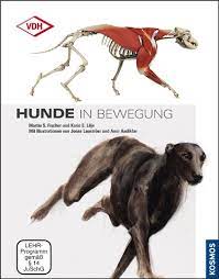 This book gives the readers many. Hunde In Bewegung Fischer Martin S Lilje Karin
