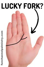Definitions by the largest idiom one's pinky finger, the smallest finger on one's hand. Does Your Heart Line Splits Into A Lucky Fork Palmistry Palm Reading Palmistry Palm Reading Charts