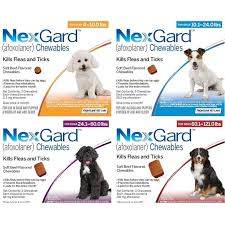 Check spelling or type a new query. Nexgard 6 Months Mac Animal Clinic