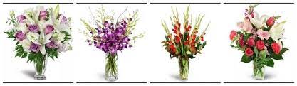 View pharmacy hours, refill prescriptions online and get directions to walgreens. 9 Picks For Best Flower Delivery In Greensboro Nc Flower Delivery Reviews