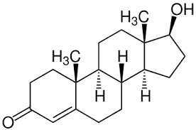 In this lesson, you will learn about the different structures and functions of. Anabole Steroide Wikipedia