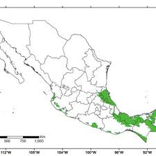 Next (raja raja chola i). Geographical Distribution Of Lowland Tropical Rainforests Of Mexico Download Scientific Diagram