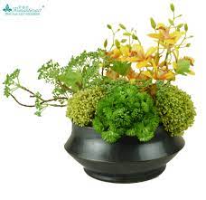 pin by 邱邱 on green planters herbs planters green