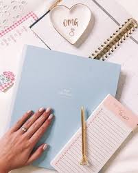 Wedding Planning Is No Joke Y All I M Talking About The One Tool That Has Helped Me Stay Super Bridal Bag Wedding Organizer Planner Diy Wedding Planning