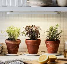 Maybe you would like to learn more about one of these? The 9 Best Plant Grow Lights Of 2021