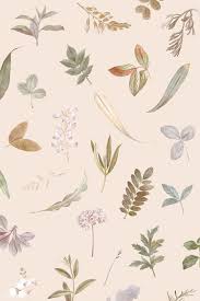 Shop our beige wallpaper today! 33 Beige Background On Wallpapersafari