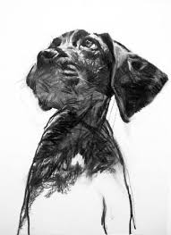 Drawings Christos Tsimaris Artist Hond Tekeningen Tekenen Kunst