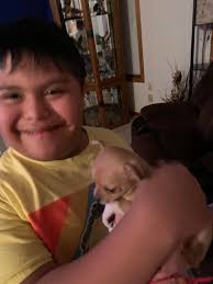 Puppies getting there first love and cuddles 🥰🥰🥰🥰