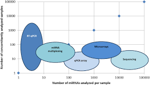 A series of mutations in the dna of the cell creates cancer. Frontiers Mirnas In The Diagnosis And Prognosis Of Skin Cancer Cell And Developmental Biology