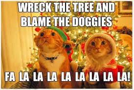 Community Post 11 Signs You Re A Scrooge As Told By Cats Christmas Cats Cute Animals Funny Animal Pictures