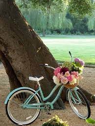 pin by lena zachhalmel on lovely day for a bicycle ride bicycle i want to ride my bicycle pictures