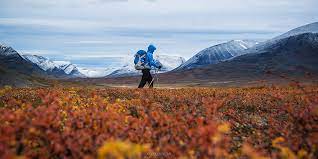 The path is more than 400 kilometres long, and was established by svenska turistföreningen at the beginning of the 20th century. Hiking Sweden S Kungsleden Trail In Autumn From Nikkaluokta To Abisko Cody Duncan Photography