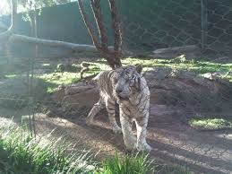 It is shown primarily on mondays. Usa Kanada Reisen Vom Spezialisten Fairflight Touristik