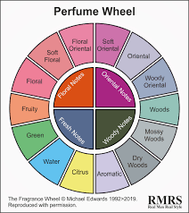 perfume wheel infographic