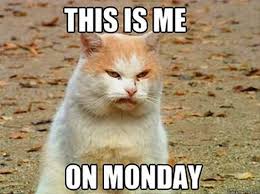 Mondays are never good hair days. 20 Very Funny Monday Meme Pictures Picss Mine
