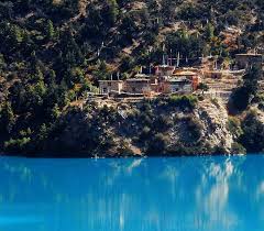 Image result for Daknopholis